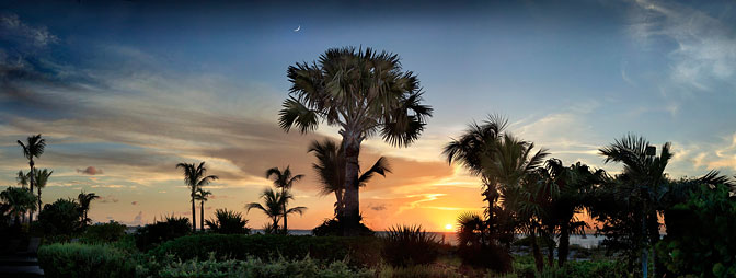 Jennys Moon | Caribbean Ocean Palm Trees |  Provinciales 