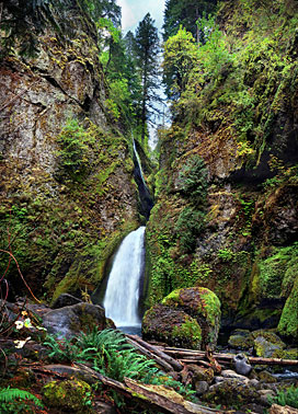 Heavens Garden | Waterfall | Columbia River Gorge Portland Oregon