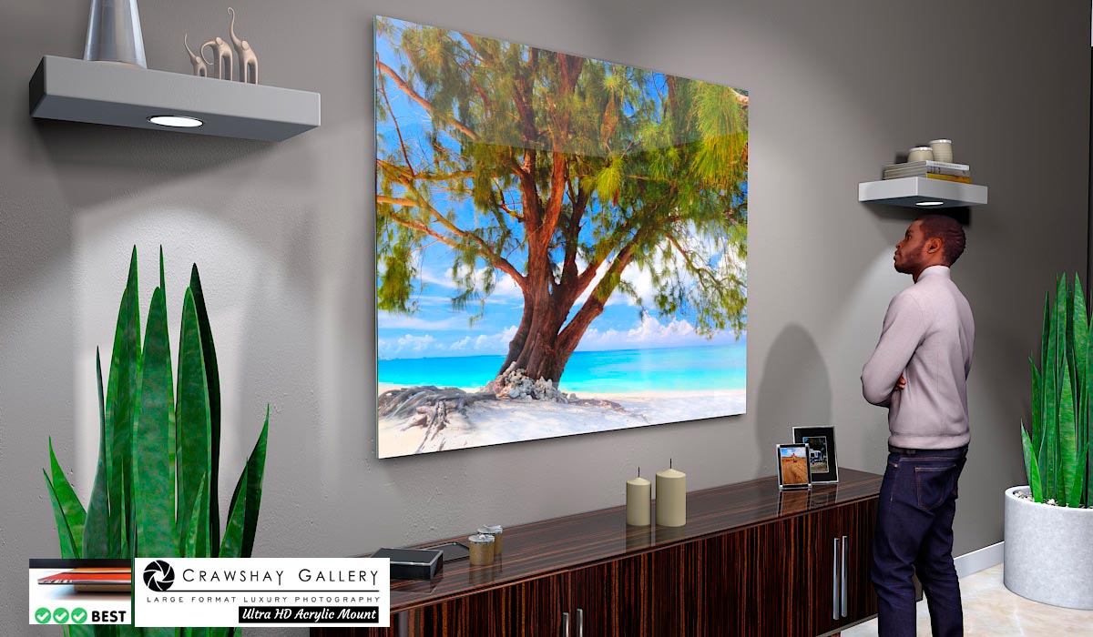 Face Mounted Acrylic Print of Chill Out Beach tree