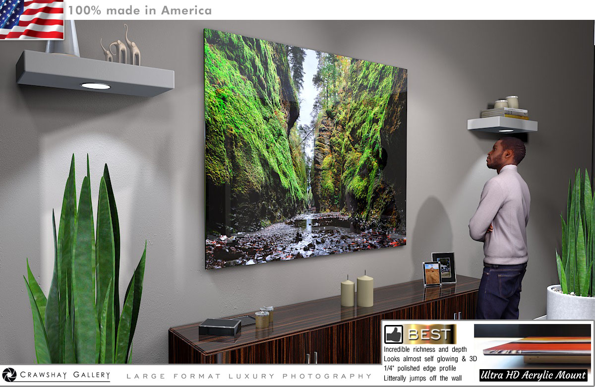 Face Mounted Acrylic Print of Oneota Gorge From Behind
