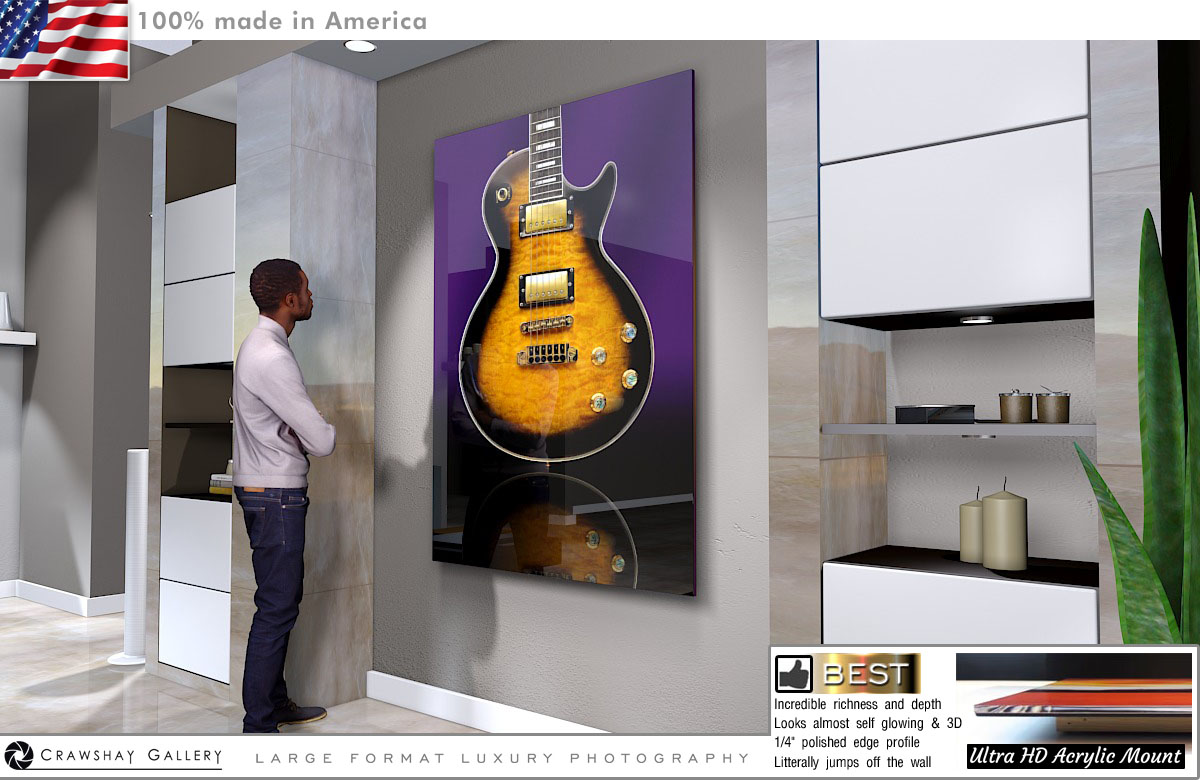 Face Mounted Acrylic Print of Gibson Les Paul Large Format Photograph