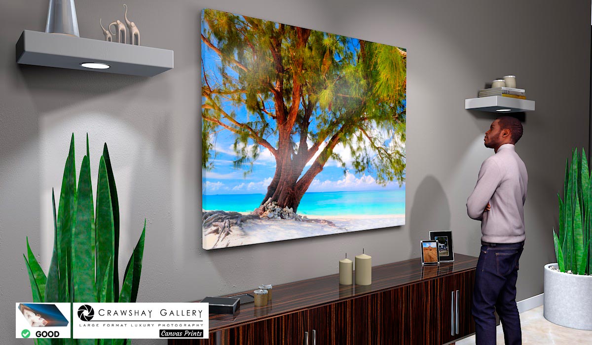 Canvas Print of Chill Out Beach tree