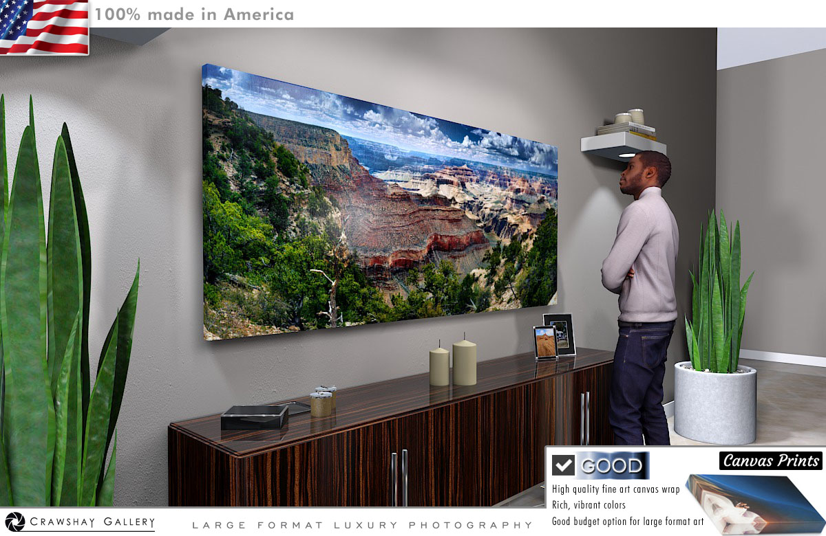 Canvas Print of The Grand Canyon 1