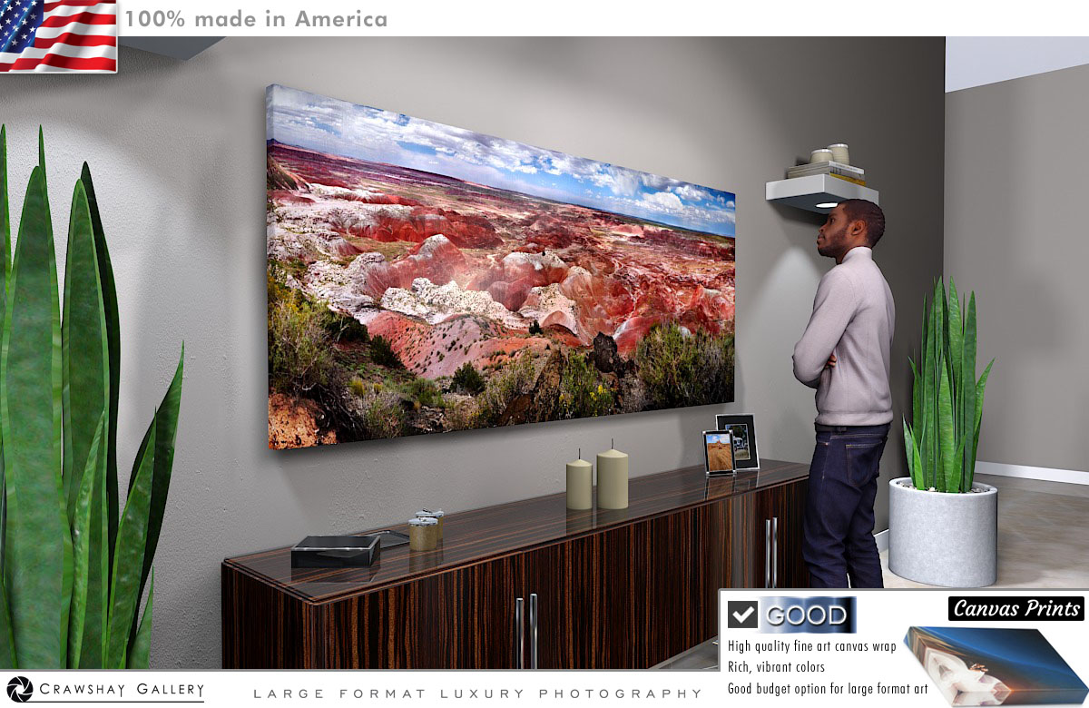 Canvas Print of The Petrified Forest Arizona