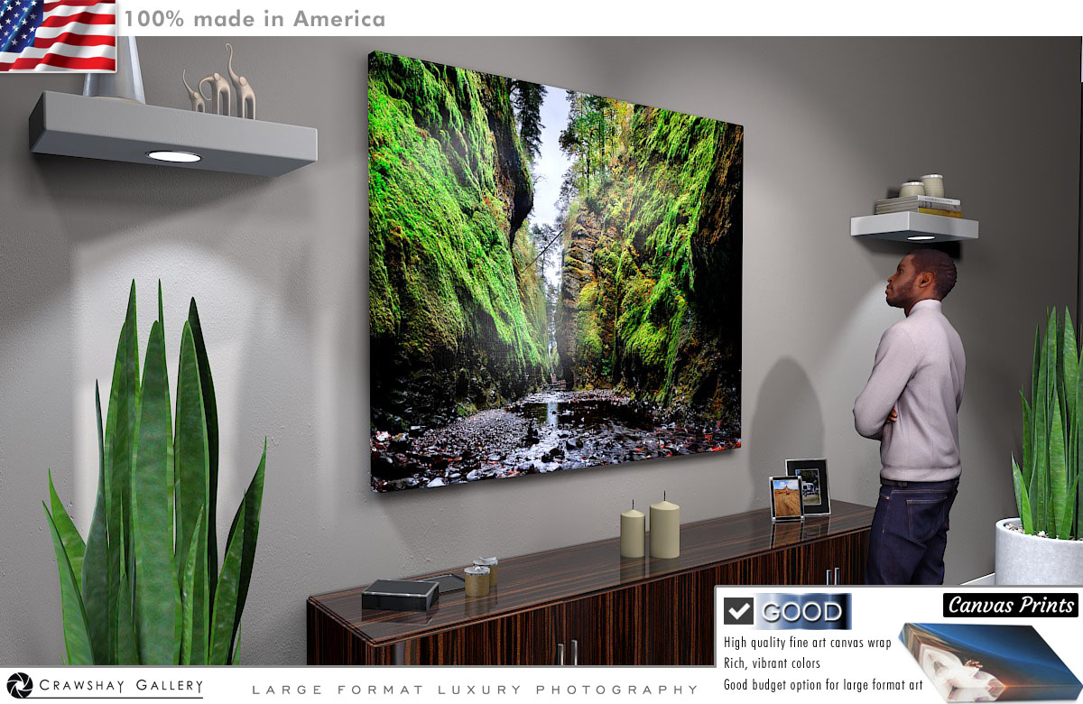 Canvas Print of Oneota Gorge From Behind