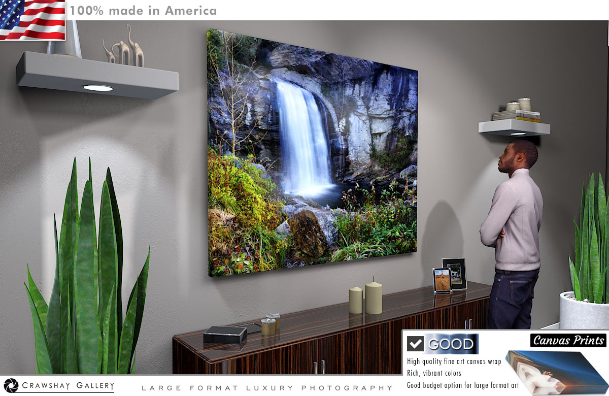 Canvas Print of Looking Glass Falls Image