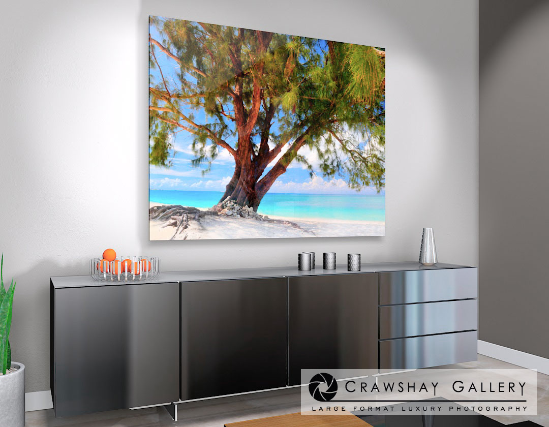 large format photograph of Chill Out Beach tree depicted in room