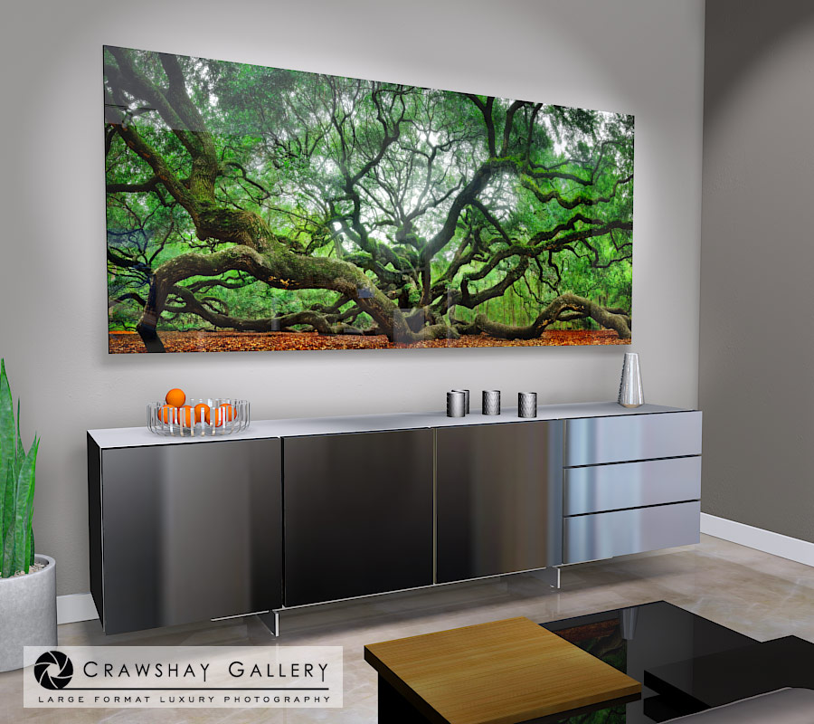 large format photograph of Large Format Angel Oak SC depicted in room