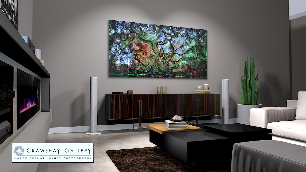 large format photograph of Japanese Maple Tree Portland Oregon depicted in room
