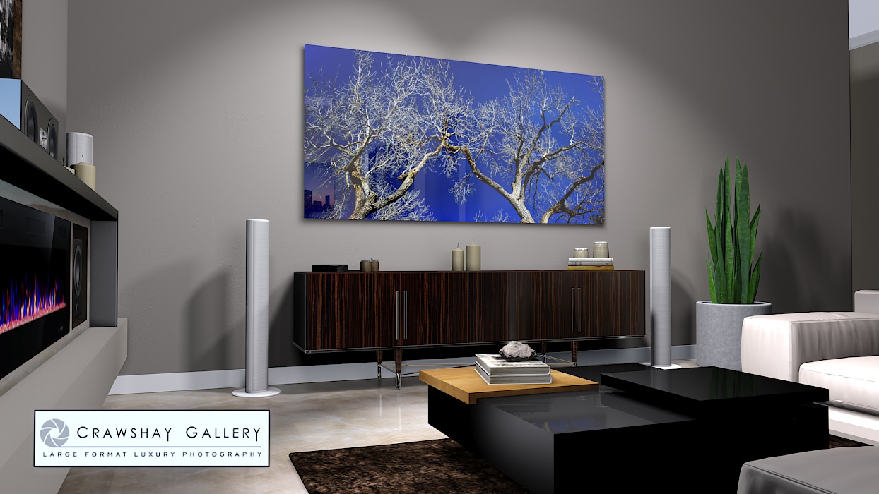 large format photograph of Leafless Tree over Blue Sky depicted in room