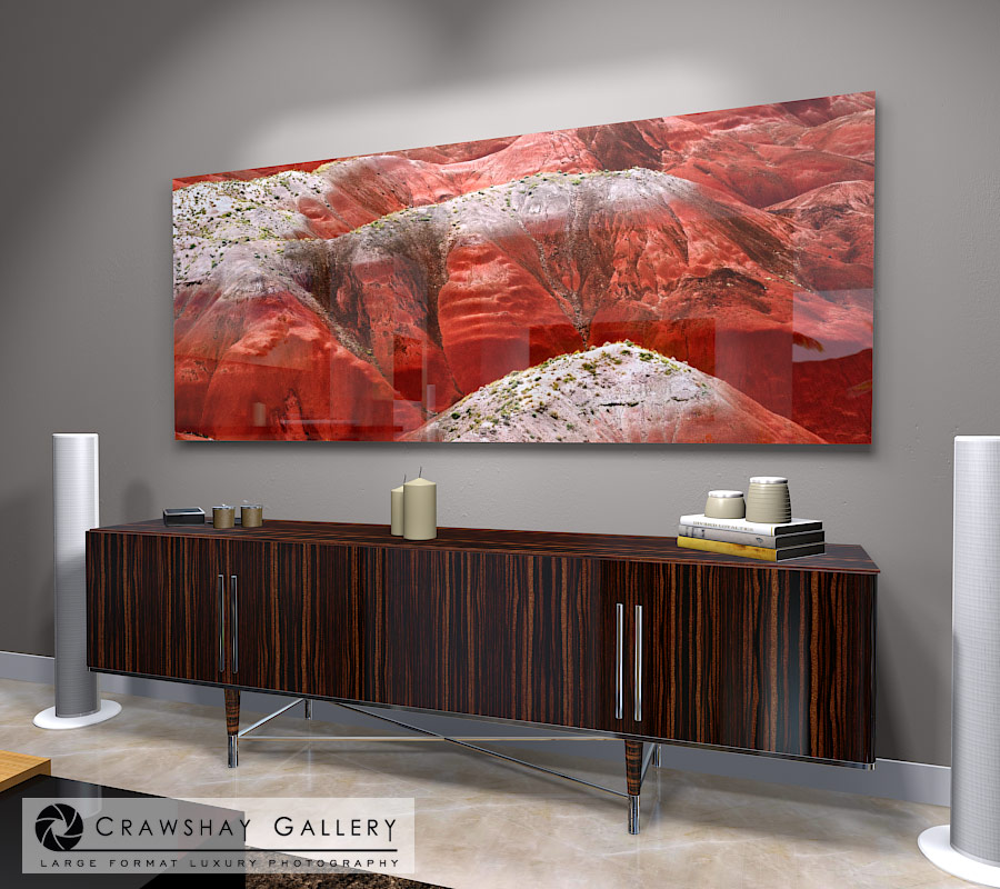 large format photograph of The Petrified Forest, Arizona depicted in room