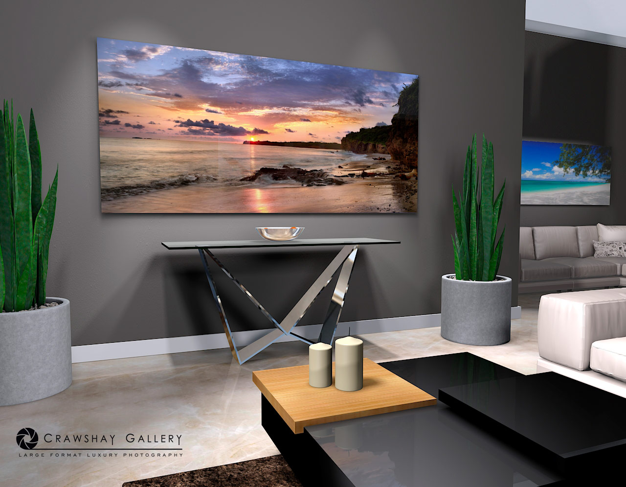 large format photograph of Punta Mita Beach depicted in room