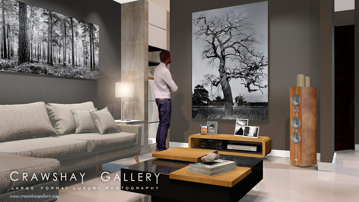 large format photograph of Black and White Tree depicted in room