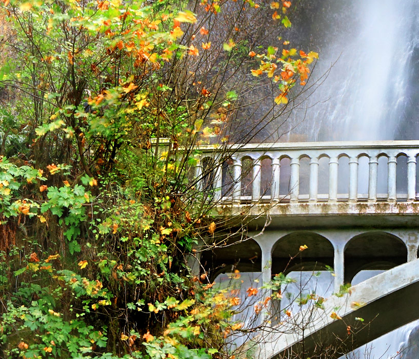Close up of large format photograph of Mulnomah Falls Portland Oregon