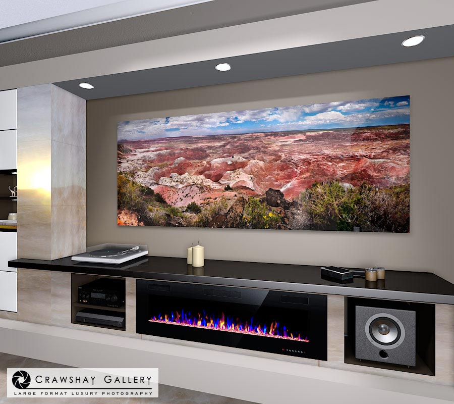 large format photograph of The Petrified Forest Arizona depicted in room