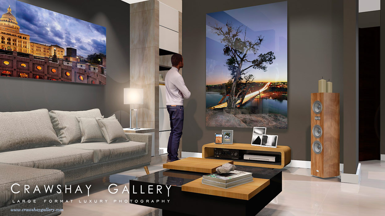 large format photograph of Cedar Tree by 360 Bridge depicted in room