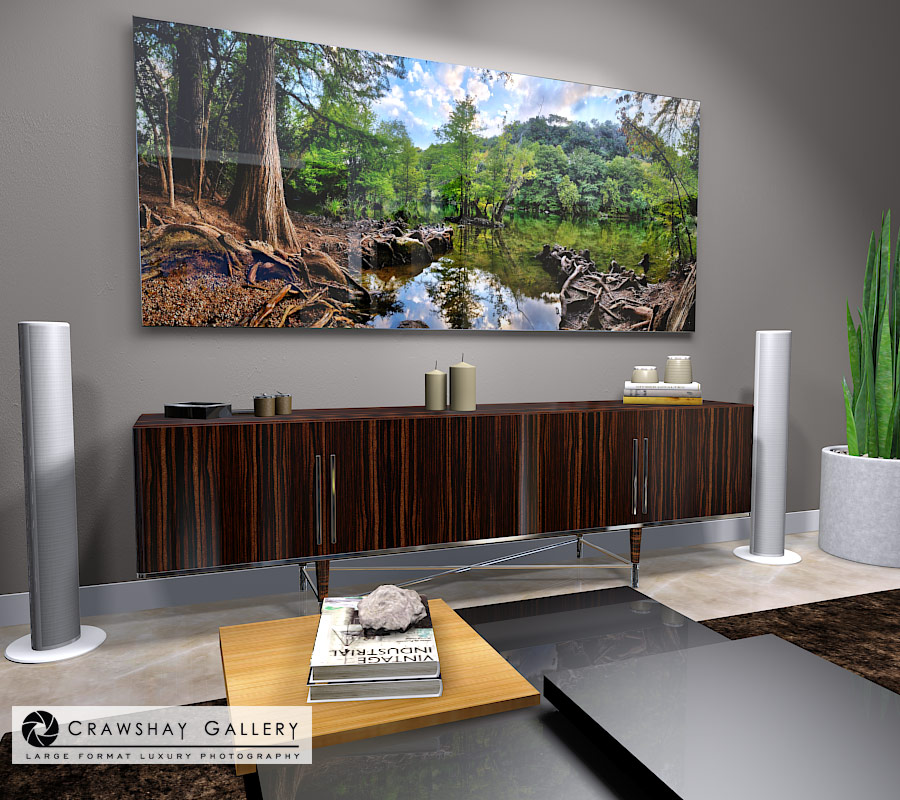 large format photograph of Beautiful Swamp Austin Texas depicted in room
