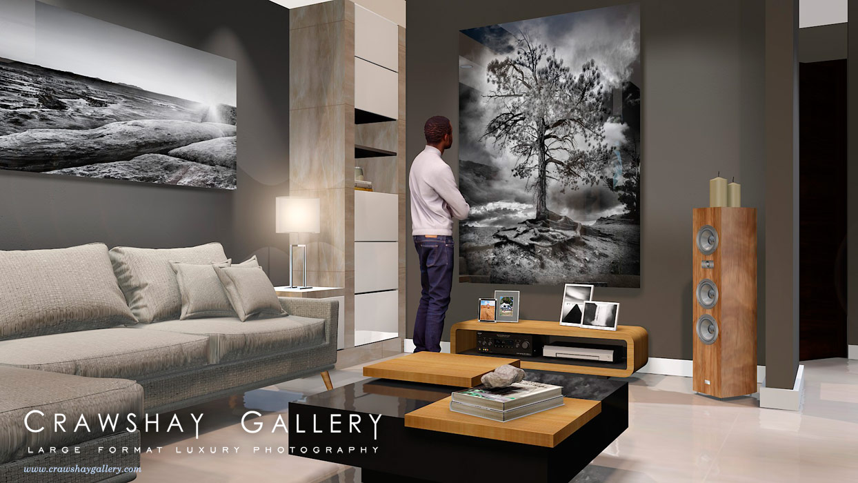 large format photograph of Exposed Root Tree at Bryce depicted in room