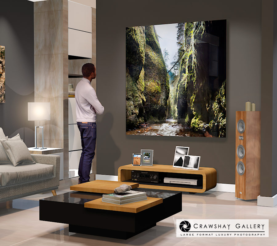 large format photograph of Oneota Gorge Portland Oregon depicted in room