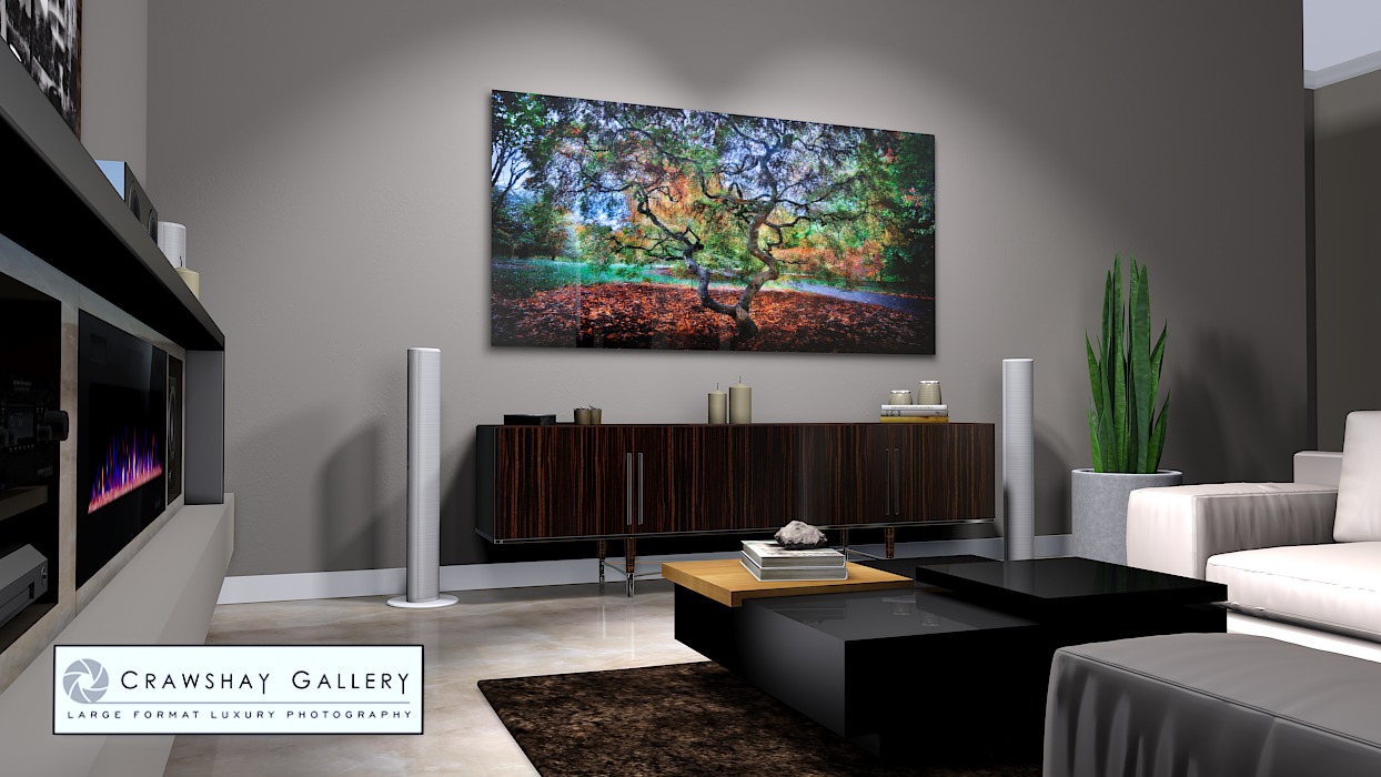 large format photograph of Fall Color Maple Tree Photograph depicted in room