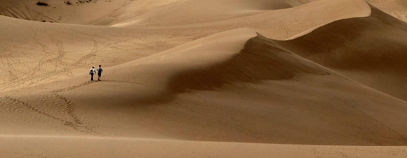 Close up of large format photograph of The Great Sandunes of Colorado