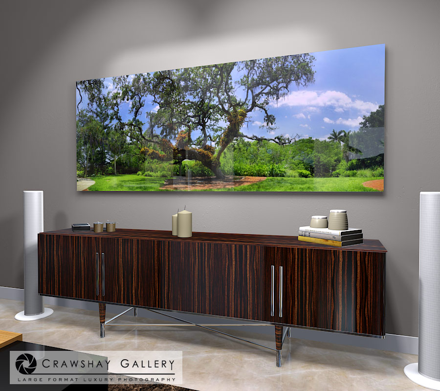 large format photograph of Florida Trees depicted in room