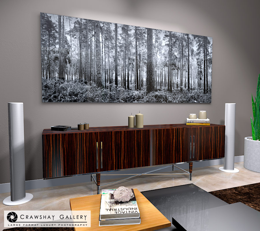 large format photograph of Black and White Pine Trees depicted in room