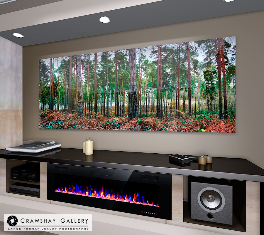 large format photograph of Rows of Tall Pine Trees depicted in room