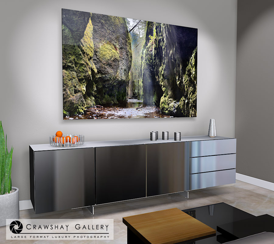 large format photograph of Oneota Gorge Portland Oregon depicted in room