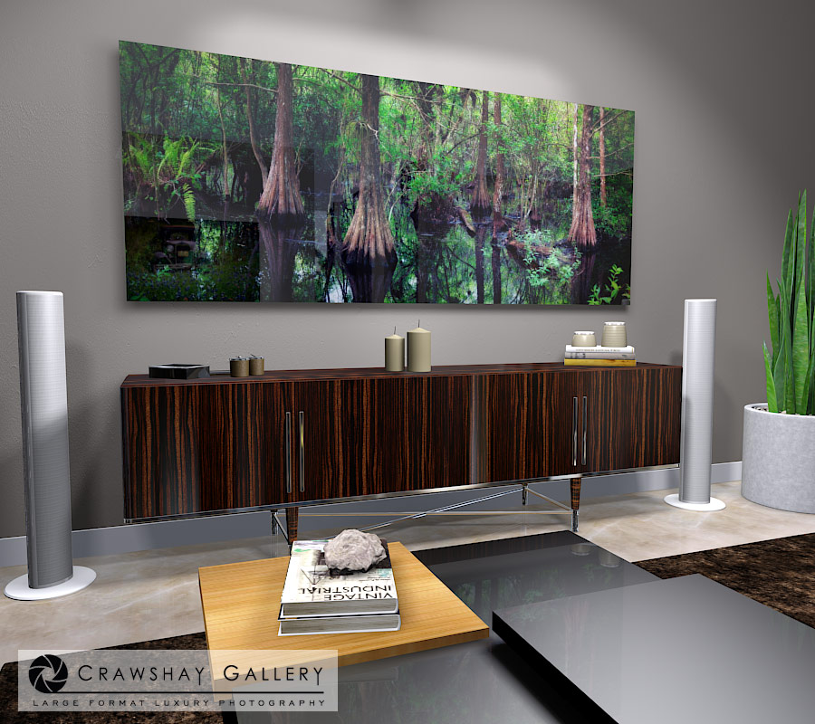 large format photograph of Cedar Trees Stagnent Pond depicted in room