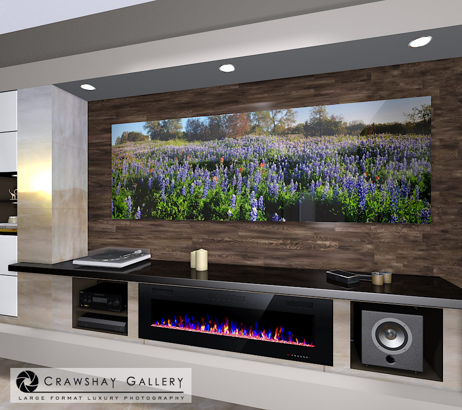 large format photograph of Texas Wildflowers depicted in room