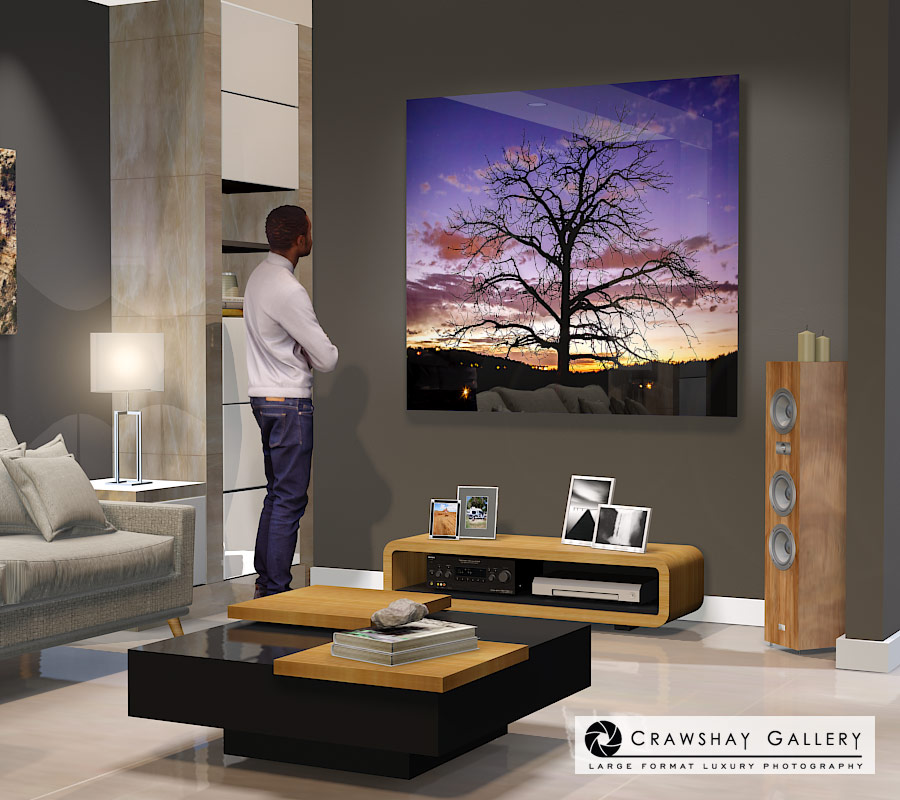 large format photograph of Santa Fe Sunset Tree depicted in room