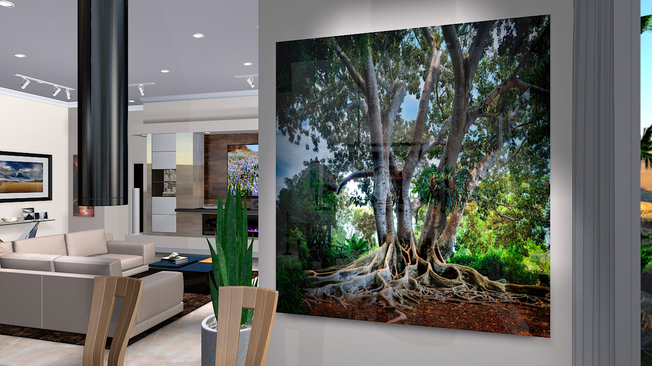Large format fine art photograph of Florida banyan tree