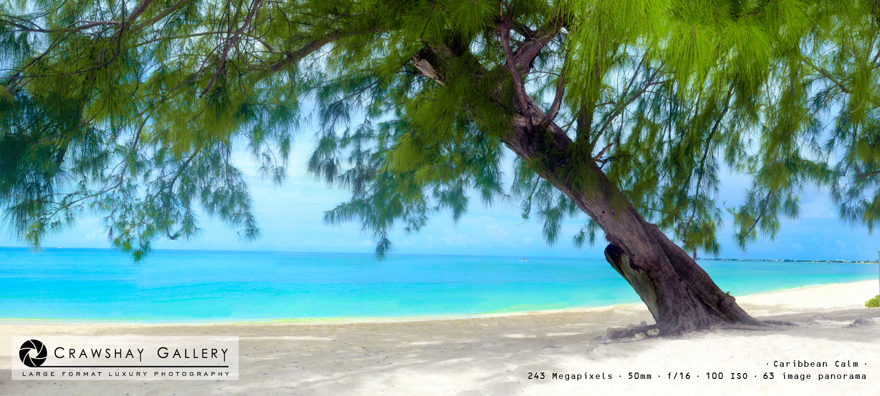 Image of Cayman Islands Calm Beach and tree