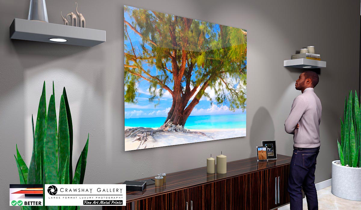 Chill Out Beach tree Direct to Metal Print