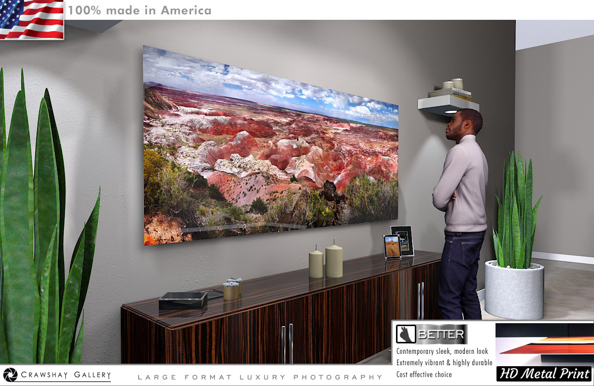 The Petrified Forest Arizona Direct to Metal Print