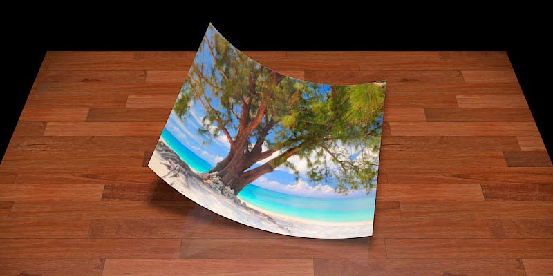 Fine Art Print of Chill Out Beach tree