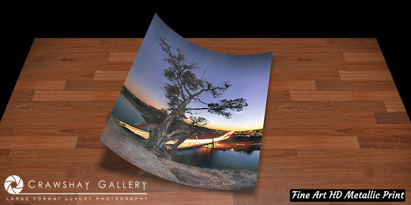 Fine Art Print of Cedar Tree by 360 Bridge
