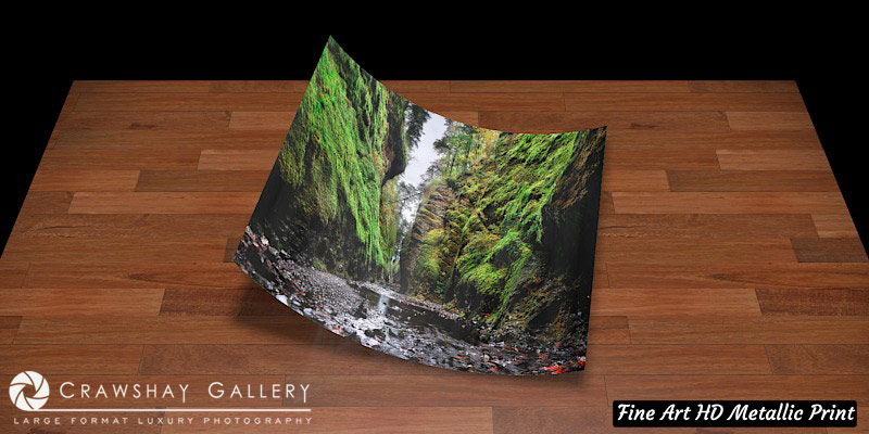 Fine Art Print of Oneota Gorge From Behind
