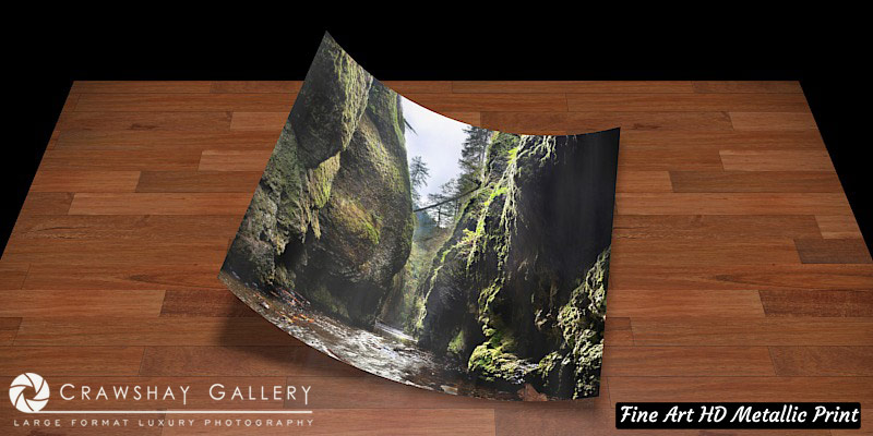 Fine Art Print of Oneota Gorge Portland Oregon
