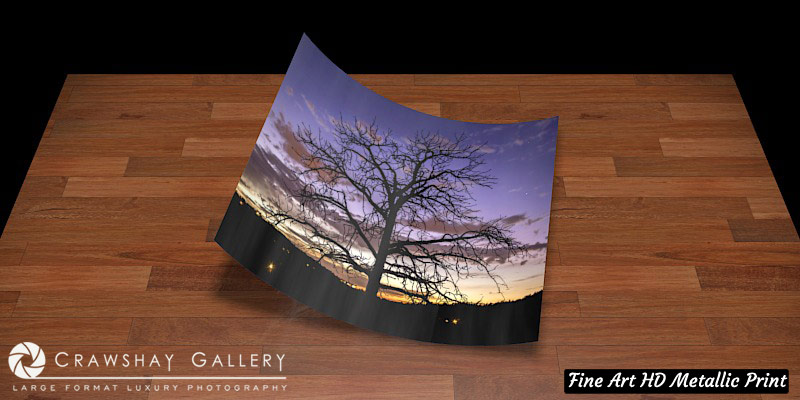 Fine Art Print of Santa Fe Sunset Tree
