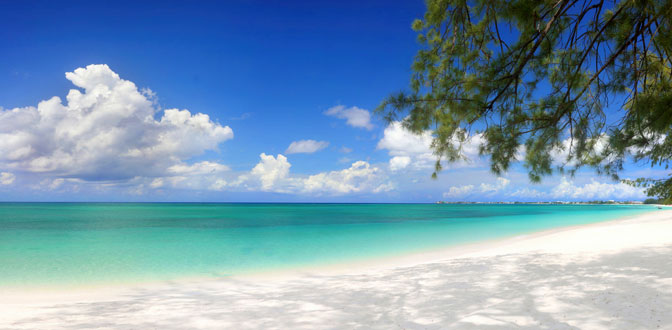 Cayman Islands Calm Beach and tree